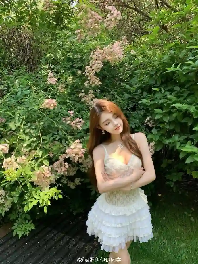 全球EPS软件使用场景分布